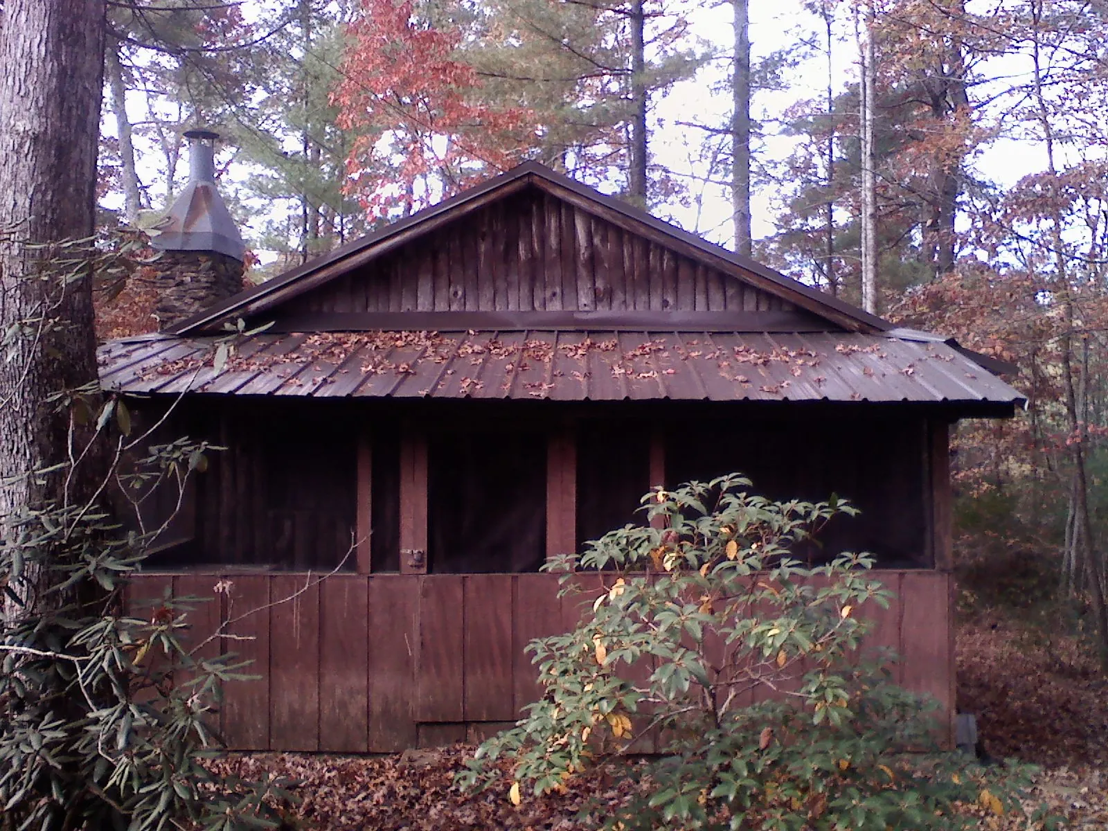 Metal roof over the screened porch of a rustic cabin in Derby